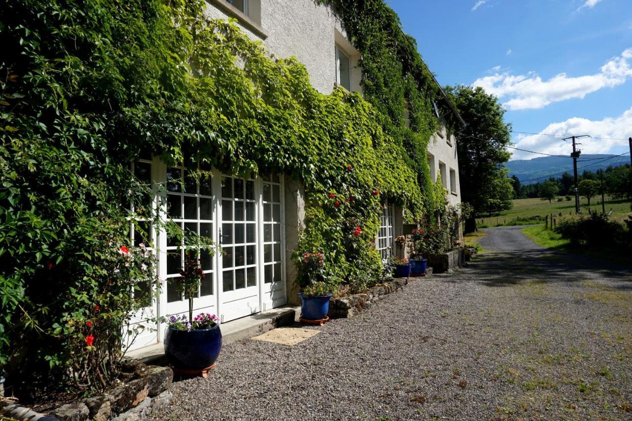 Bed and Breakfast Les Neuf Bouleaux à Job Extérieur photo