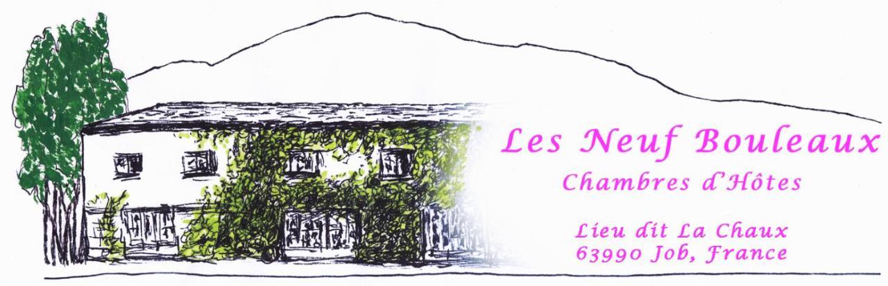 Bed and Breakfast Les Neuf Bouleaux à Job Extérieur photo
