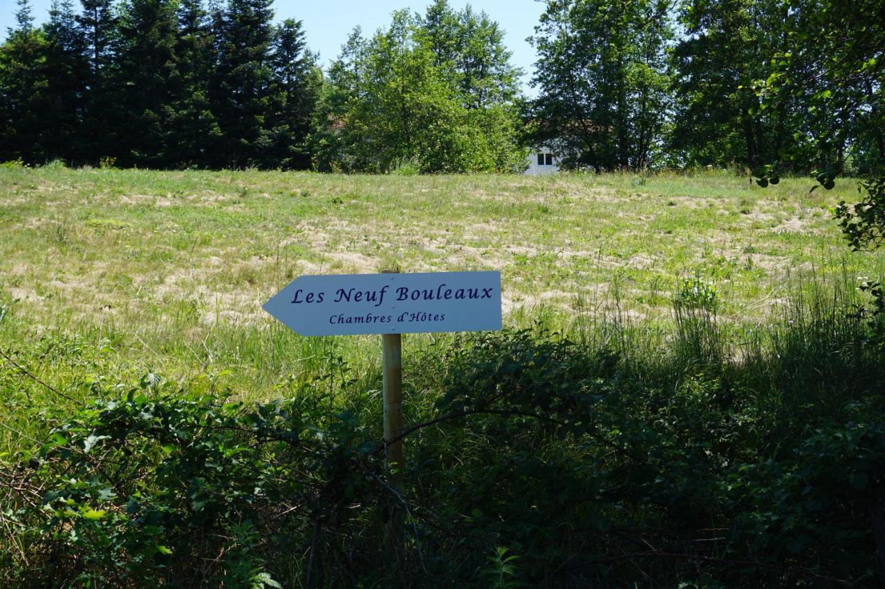 Bed and Breakfast Les Neuf Bouleaux à Job Extérieur photo